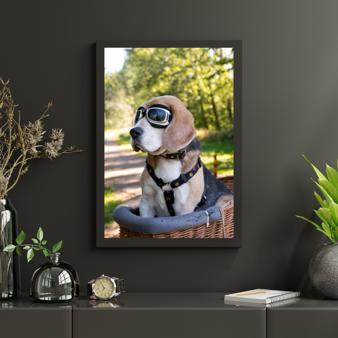 Descubre nuestros Materiales